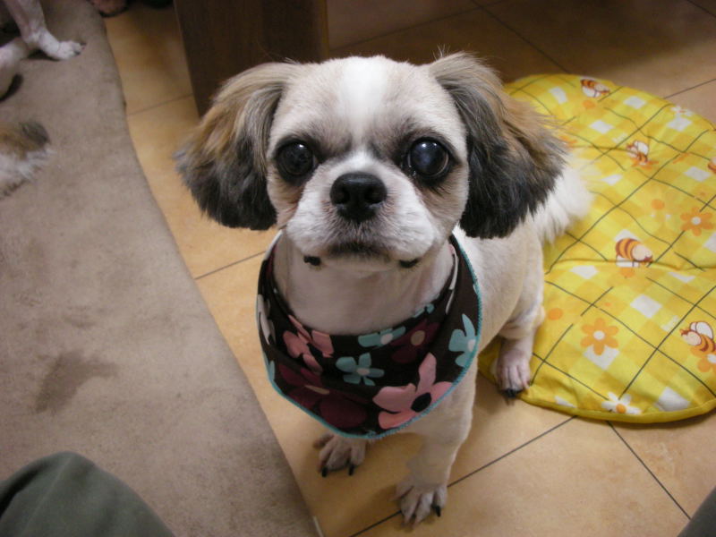 �{�X�Ɩ����Ȓ��ԒB