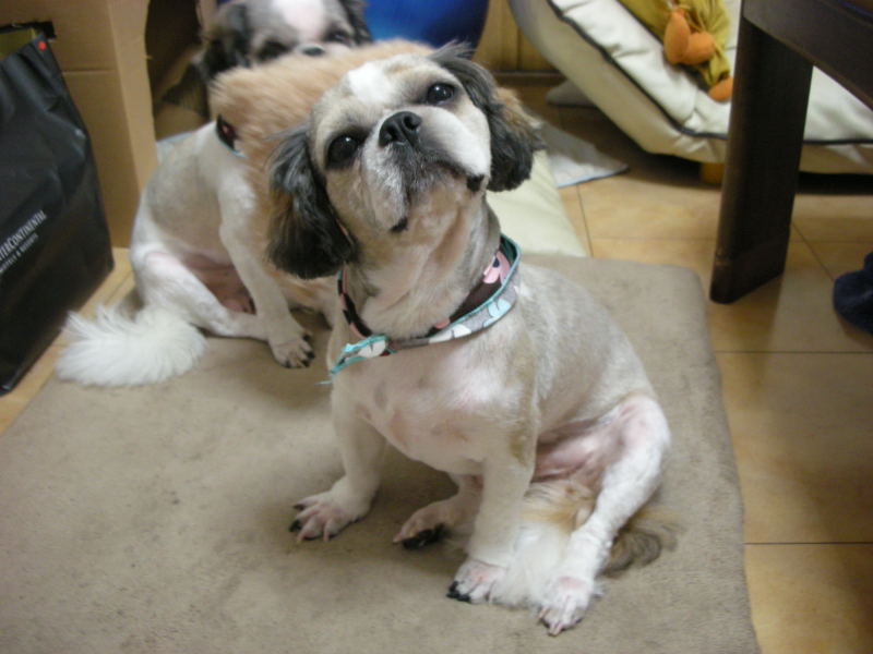 �{�X�Ɩ����Ȓ��ԒB