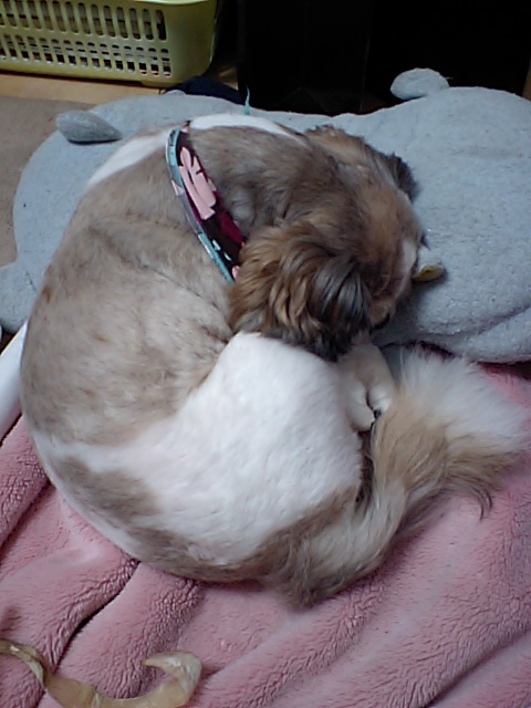 �{�X�Ɩ����Ȓ��ԒB