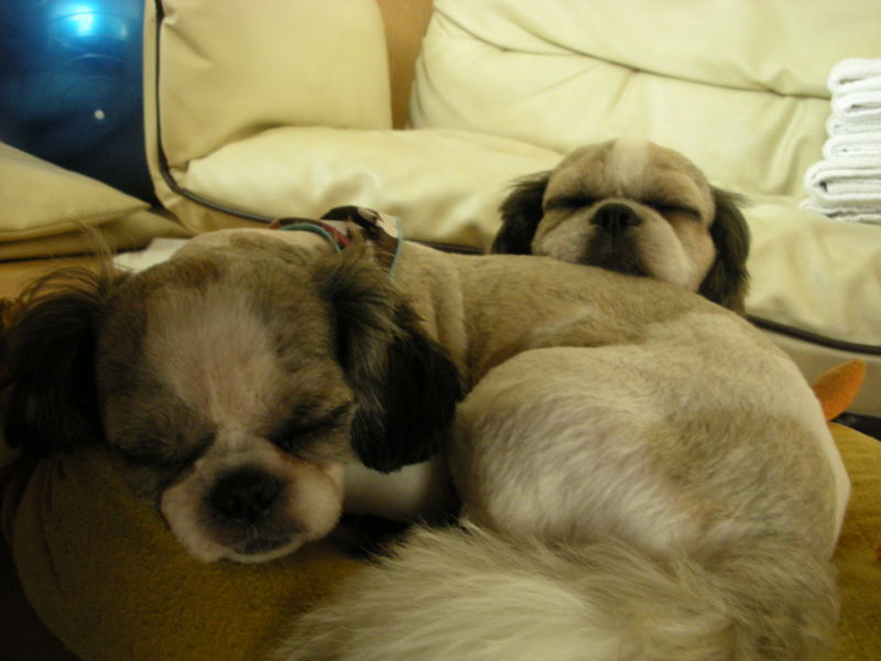 �{�X�Ɩ����Ȓ��ԒB