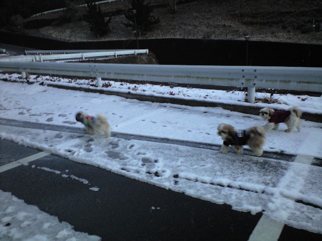 �{�X�Ɩ����Ȓ��ԒB