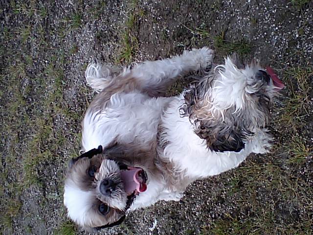 �{�X�Ɩ����Ȓ��ԒB