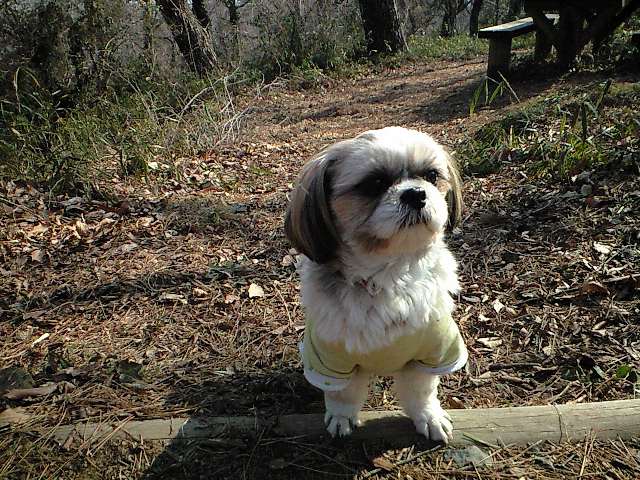 �{�X�Ɩ����Ȓ��ԒB