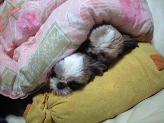 �{�X�Ɩ����Ȓ��ԒB