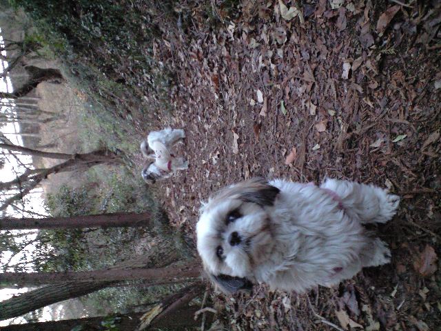 �{�X�Ɩ����Ȓ��ԒB