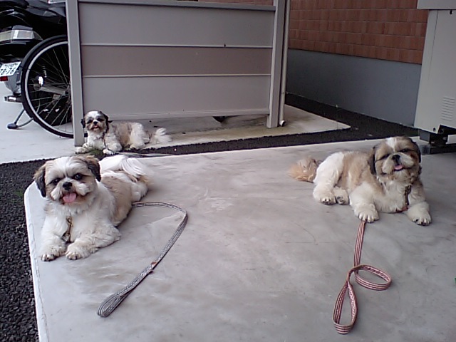 �{�X�Ɩ����Ȓ��ԒB