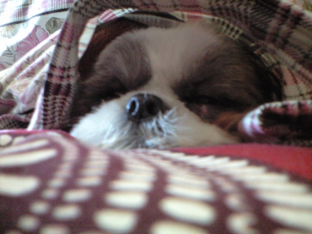 �{�X�Ɩ����Ȓ��ԒB