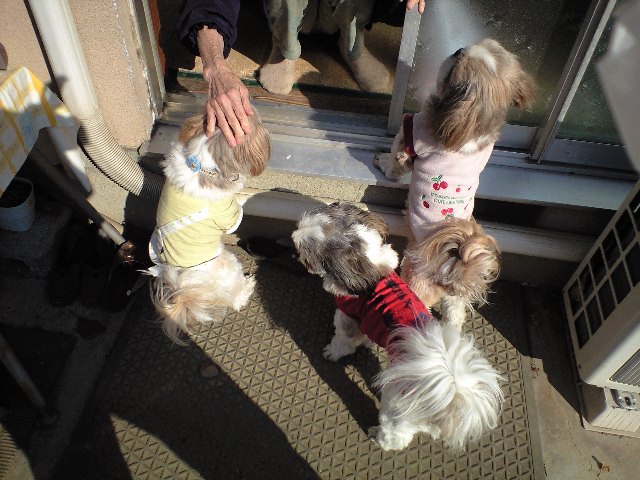 �{�X�Ɩ����Ȓ��ԒB