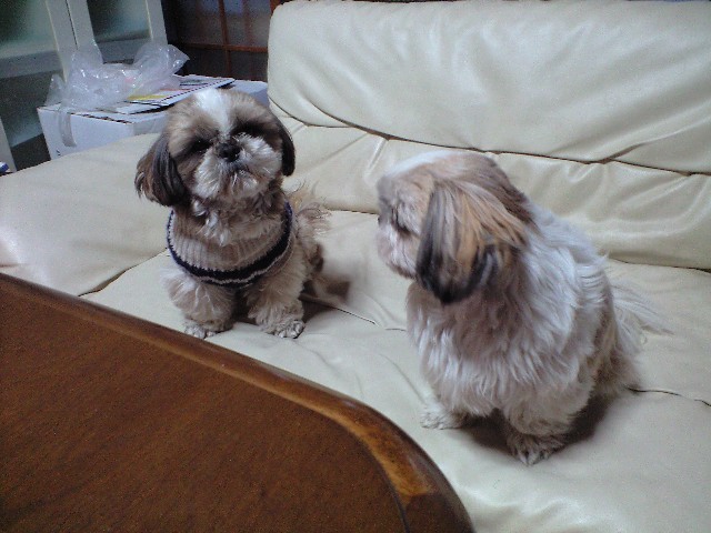 �{�X�Ɩ����Ȓ��ԒB