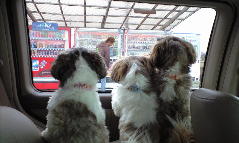 �{�X�Ɩ����Ȓ��ԒB