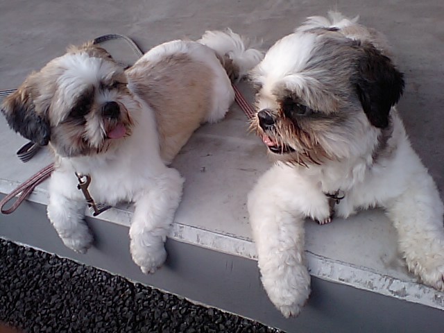 �{�X�Ɩ����Ȓ��ԒB