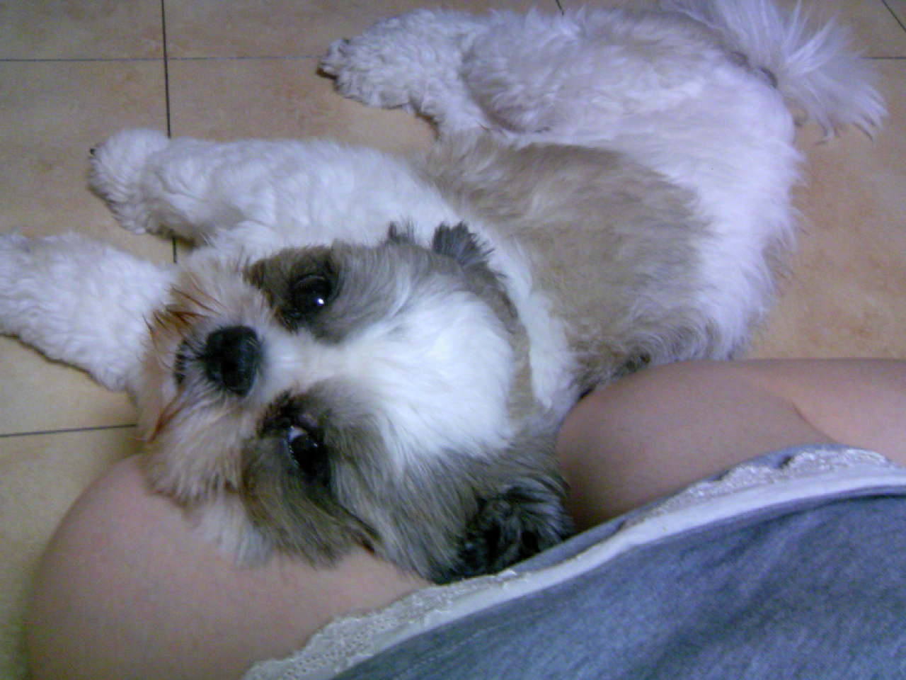 �{�X�Ɩ����Ȓ��ԒB