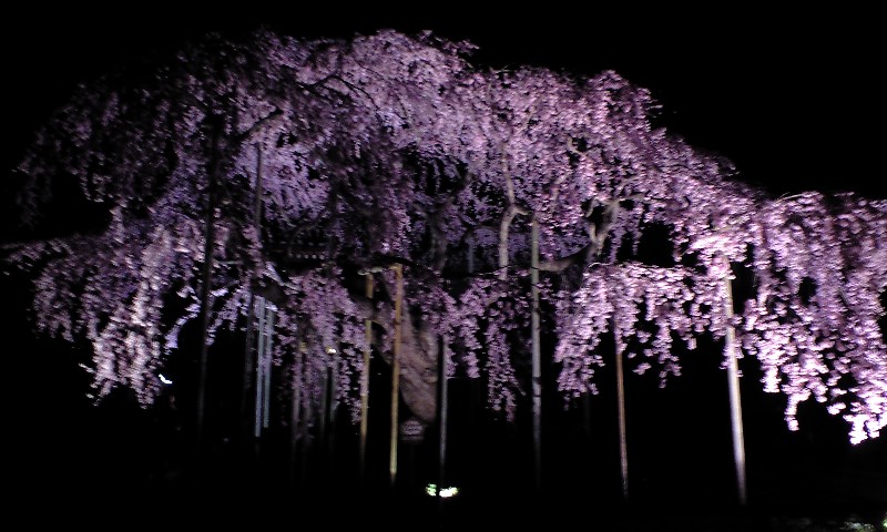 �{�X�Ɩ����Ȓ��ԒB