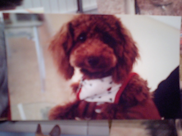 �{�X�Ɩ����Ȓ��ԒB