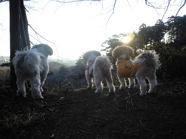 �{�X�Ɩ����Ȓ��ԒB