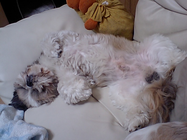 �{�X�Ɩ����Ȓ��ԒB