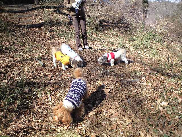 �{�X�Ɩ����Ȓ��ԒB