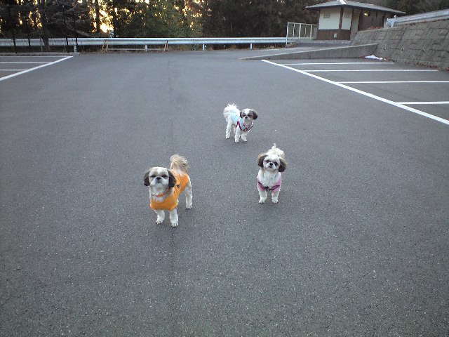 �{�X�Ɩ����Ȓ��ԒB