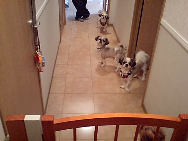 �{�X�Ɩ����Ȓ��ԒB