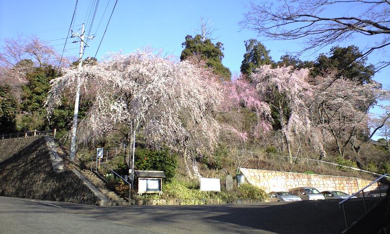 �{�X�Ɩ����Ȓ��ԒB