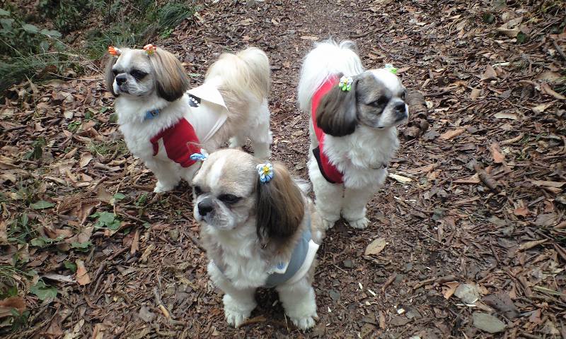 �{�X�Ɩ����Ȓ��ԒB