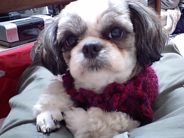 �{�X�Ɩ����Ȓ��ԒB