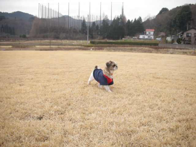 �{�X�Ɩ����Ȓ��ԒB