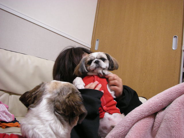 �{�X�Ɩ����Ȓ��ԒB