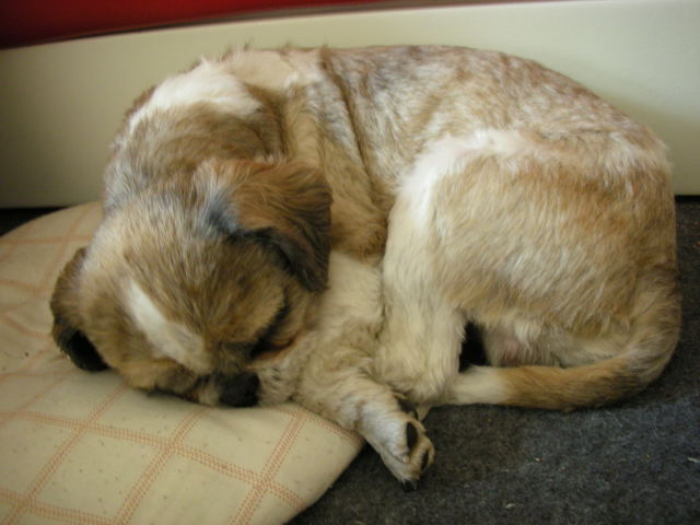 �{�X�Ɩ����Ȓ��ԒB