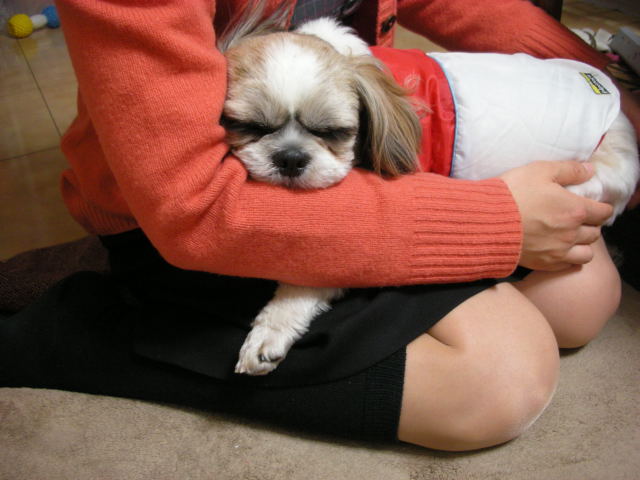 �{�X�Ɩ����Ȓ��ԒB