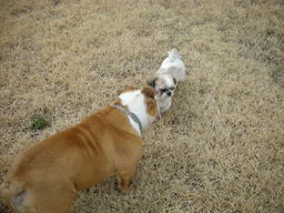 �{�X�Ɩ����Ȓ��ԒB