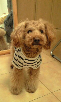 �{�X�Ɩ����Ȓ��ԒB