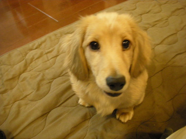 �{�X�Ɩ����Ȓ��ԒB