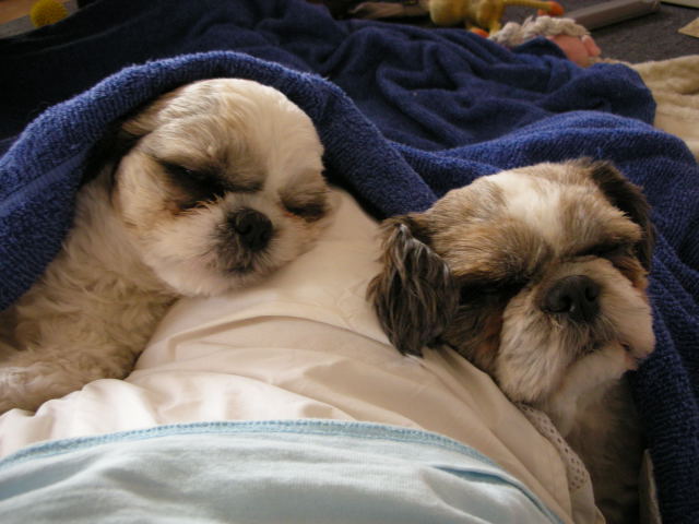 �{�X�Ɩ����Ȓ��ԒB