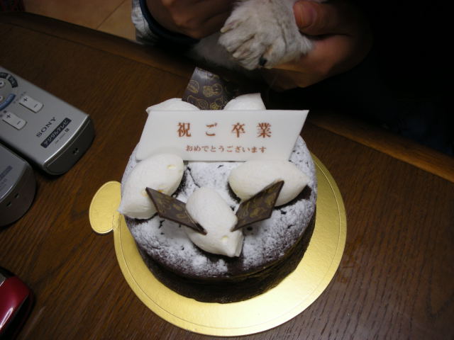 �{�X�Ɩ����Ȓ��ԒB