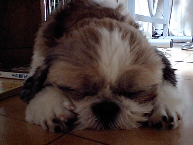 �{�X�Ɩ����Ȓ��ԒB