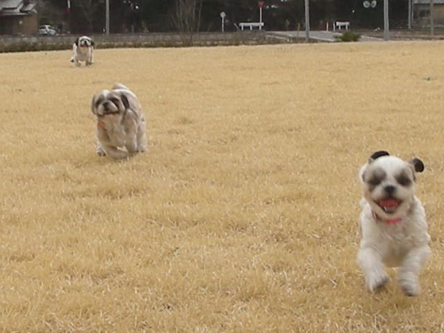 �{�X�Ɩ����Ȓ��ԒB