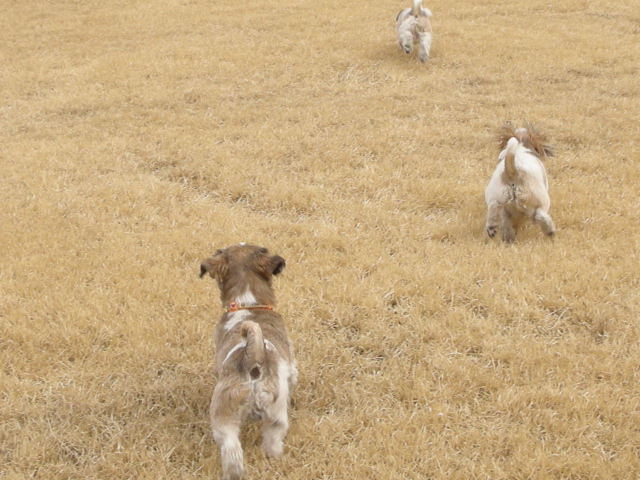 �{�X�Ɩ����Ȓ��ԒB