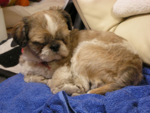 �{�X�Ɩ����Ȓ��ԒB