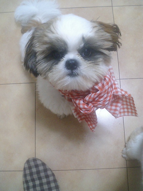 �{�X�Ɩ����Ȓ��ԒB