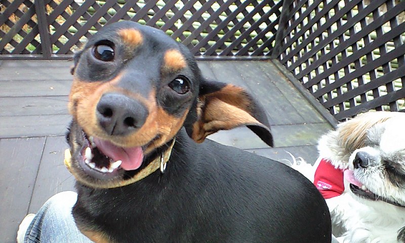 �{�X�Ɩ����Ȓ��ԒB