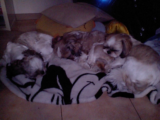 �{�X�Ɩ����Ȓ��ԒB