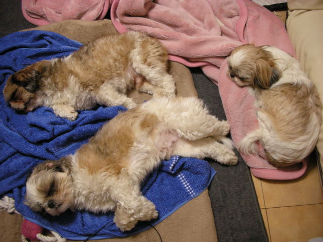 �{�X�Ɩ����Ȓ��ԒB