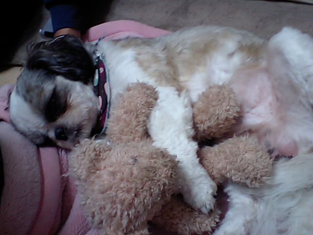 �{�X�Ɩ����Ȓ��ԒB