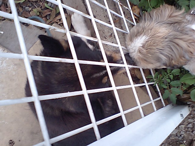 �{�X�Ɩ����Ȓ��ԒB