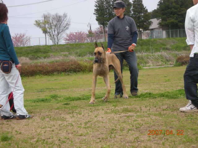 �{�X�Ɩ����Ȓ��ԒB