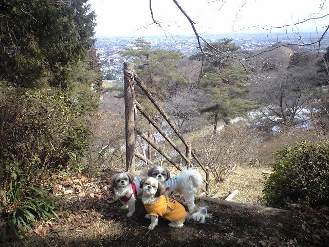 �{�X�Ɩ����Ȓ��ԒB