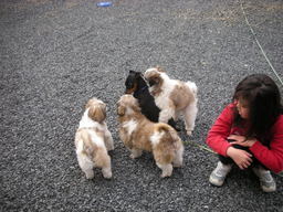 �{�X�Ɩ����Ȓ��ԒB