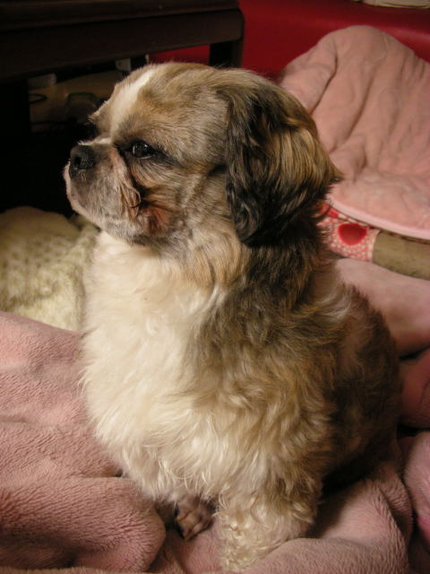 �{�X�Ɩ����Ȓ��ԒB