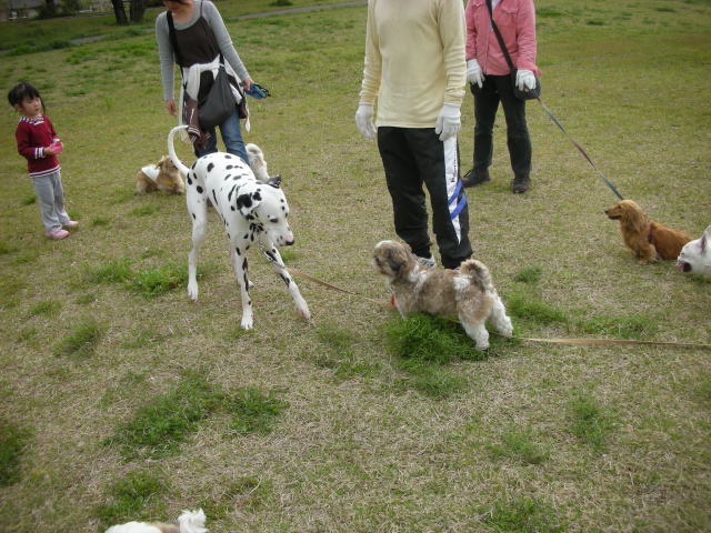 �{�X�Ɩ����Ȓ��ԒB